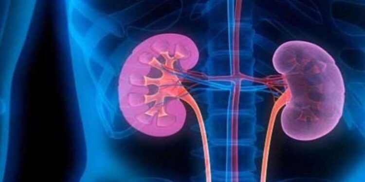 Çocuklarda sinsi böbrek taşına dikkat