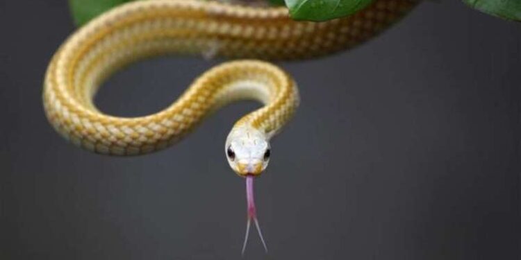 Tunç Soyer: Bu işi gönülden yapıyoruz