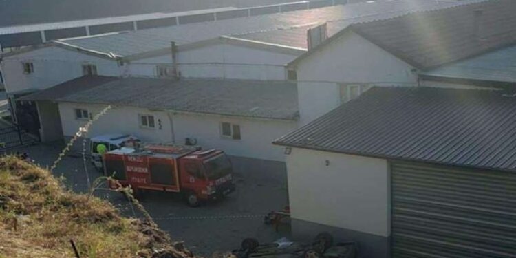 Kötü şartlarda kedi besleyen şahsa 41 bin lira ceza!