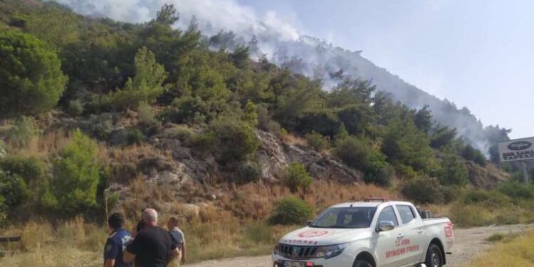 Söke’de çıkan orman yangını büyümeden söndürüldü