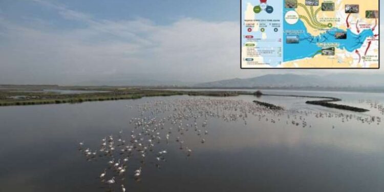 İzmir’de ‘Yaşayan Körfez’ programı meyvesini veriyor