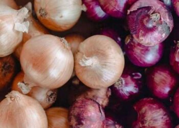 Bukele, yasağa rağmen 2024 seçimlerinde yeniden aday gösterildi