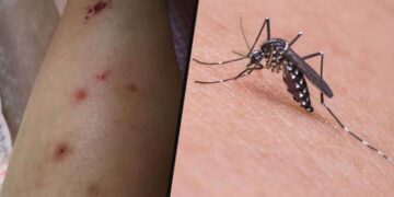 Eski Evdeki Büyülü Saat filminin konusu ne? Eski Evdeki Büyülü Saat filminin oyuncuları kim?