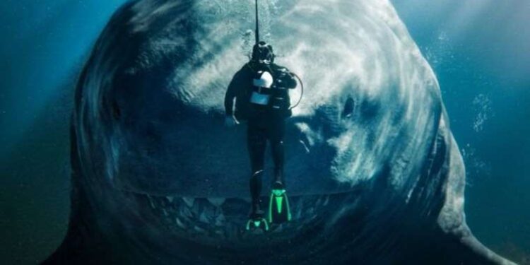 Soldiers in Niger announce coup on national TV