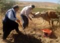 1 ay geride kaldı: İlçe merkezinde de aramalar başladı