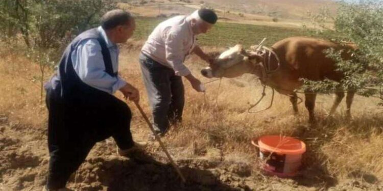 1 ay geride kaldı: İlçe merkezinde de aramalar başladı