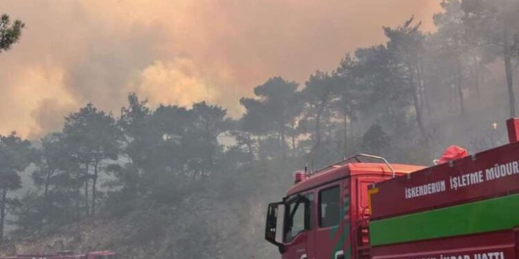 İran’da hava kirliliği nedeniyle devlet kurumları tatil edildi