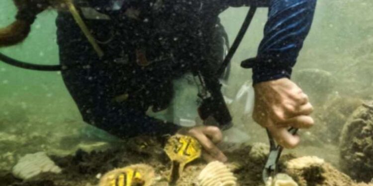 Sakarya’da iş cinayeti: Elektrik direğinden düşen işçi hayatını kaybetti