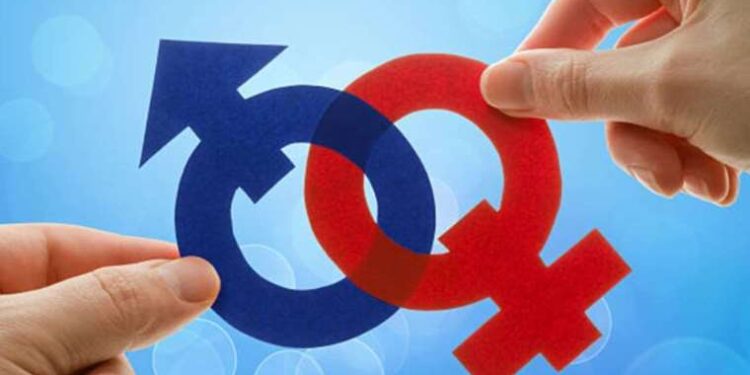 ABD’li film şirketinden Sivas’a ‘Hobbit’ ambargosu