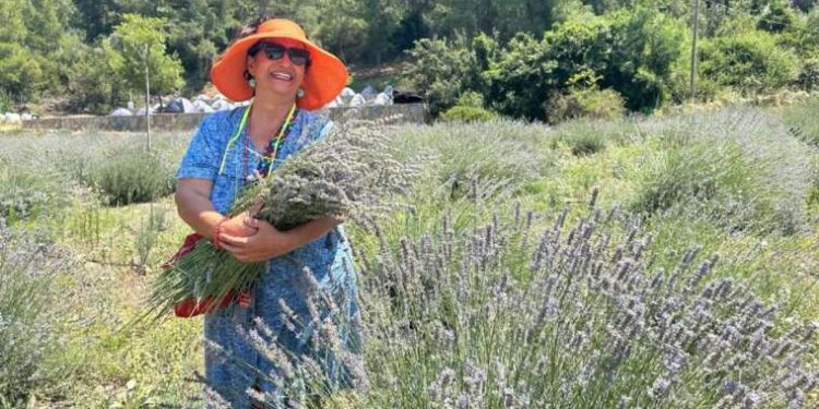 Havuç helvası nasıl yapılır? Püf noktalarıyla havuç helvası tarifi….