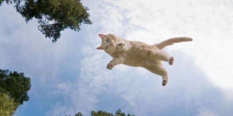 Elon Musk açıkladı: Twitter’da sadece ‘karanlık mod’ olacak