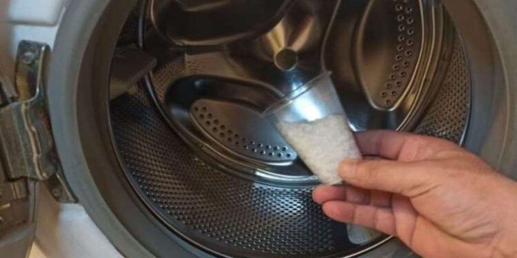 Wildfires destroy 82M hectares of forest worldwide in decade