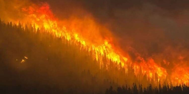 Cengizhan Destanı filminin konusu ne? Cengizhan Destanı filminin oyuncuları kim?