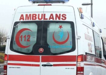 Bodrum’da lavanta hasadı başladı