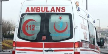 Bodrum’da lavanta hasadı başladı