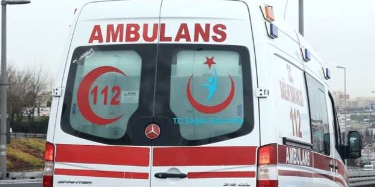 Bodrum’da lavanta hasadı başladı