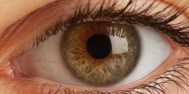 Güneş gözlüğü kullanmamak 'kornea yanığı'na yol açabilir