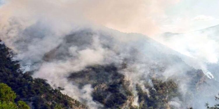 Otomobilde çakmak gazı patladı: 4 yaralı