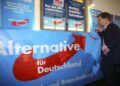 Support for far-right AfD party continues to grow in Germany, poll shows
