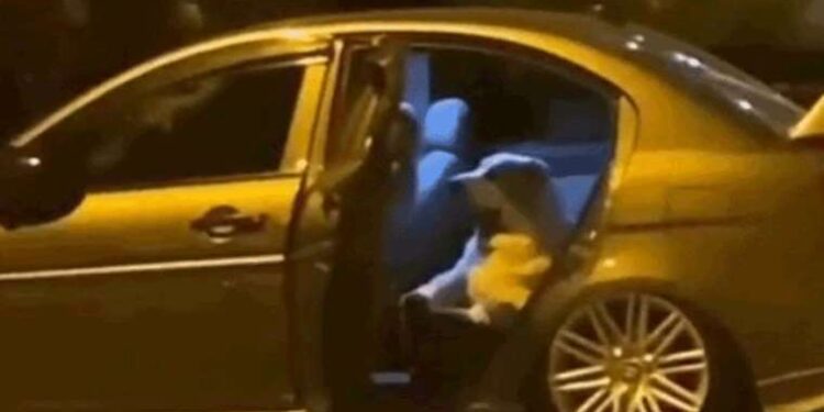 TÜRKŞEKER ne kadar işçi alımı yapacak? İŞKUR TÜRKŞEKER işçi alımı başvuruları ne zaman, şartları neler?