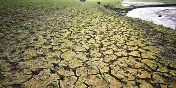 'Sıcaklık kırsal bölgelerde kuraklık riskini artırıyor'