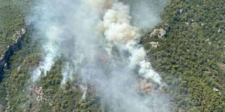Japonya’nın yerli nüfusu azaldı, yabancı sayısı arttı