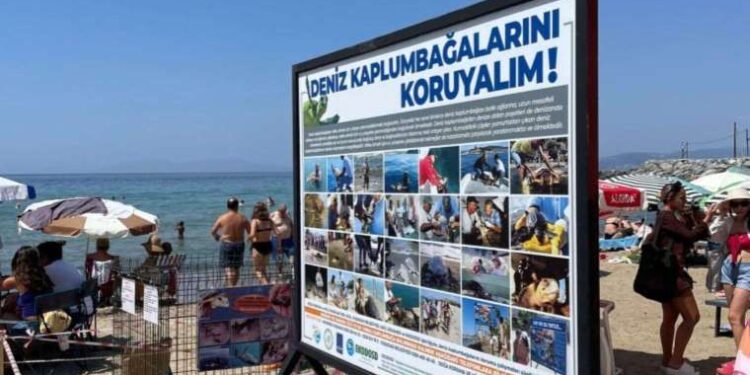 Kuşadası’nda caretta carettalar için özel önlem