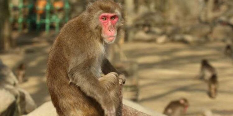 Ünlü fizikçi Albert Einstein’ın eski mektubu satışa çıkarıldı