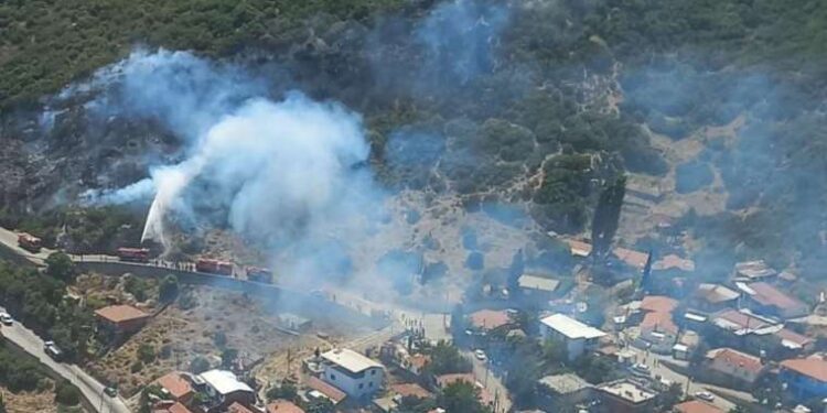 Güzelbahçe ve Kemalpaşa'da orman yangını