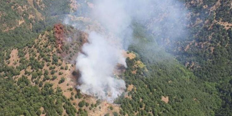 Başkan Oran, Ilıca Plajı’nda çöp topladı