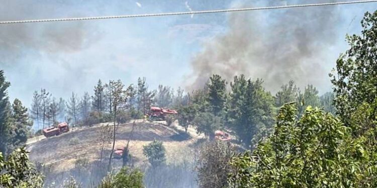 ‘Deprem yardımlarını zimmetine geçirdi’ iddiası… Kaymakam Mustafa Kılıç tutuklandı!