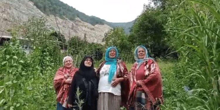 Florida köpekbalıkları denize atılan uyuşturuculardan dolayı halüsinasyon görüyor