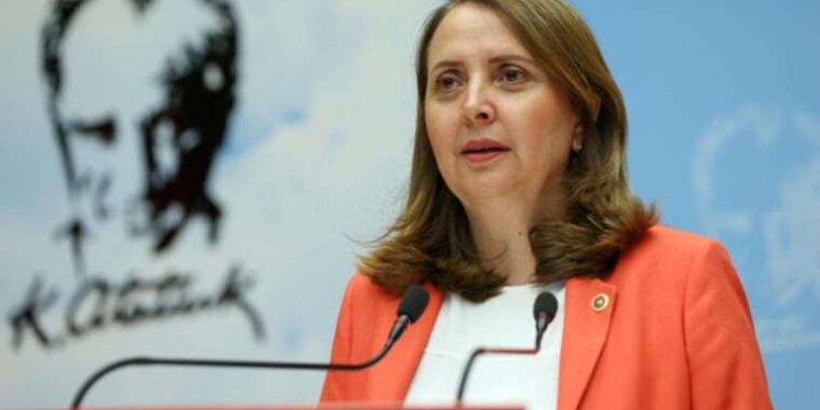 CHP'li Semra Dinçer'den tutuklu gazeteciler için önerge: 'AKP için turnusol kağıdı olacak'