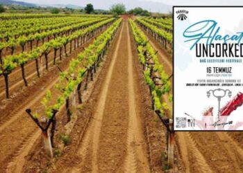 Kenya’da açlık tarikatı soruşturmasında ceset sayısı 351’e yükseldi