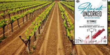 Alaçatı Bağ Lezzetleri Festivali kapılarını açıyor