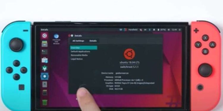 Kayıp çiftçi timsah midesinden çıktı