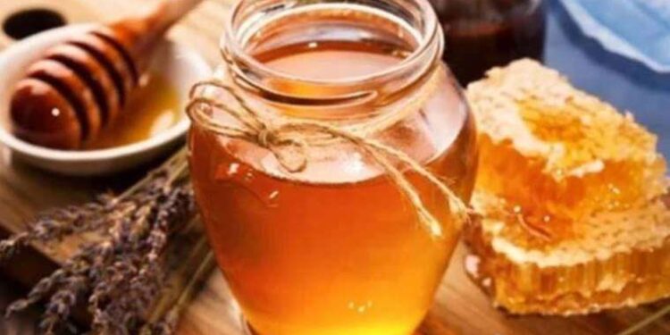 Anzer balına duduak uçuklatan zam!