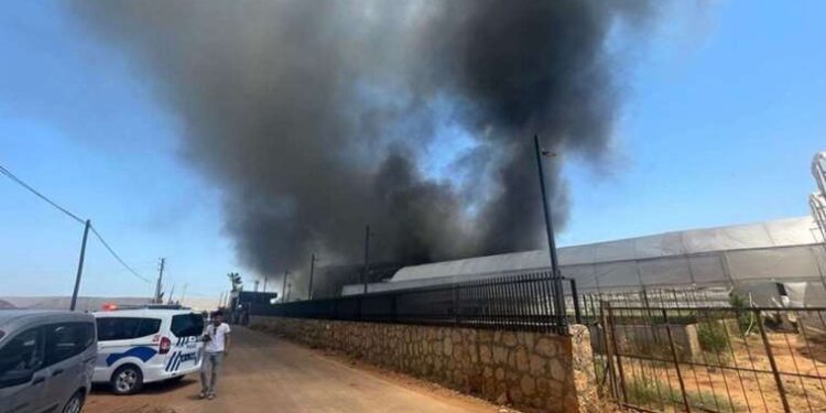 Antalya'da çiçek üretimi yapan firmada yangın çıktı!