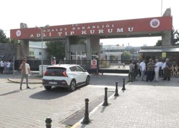 Kaçakçılık operasyonunda binlerce eşek penisi ele geçirildi