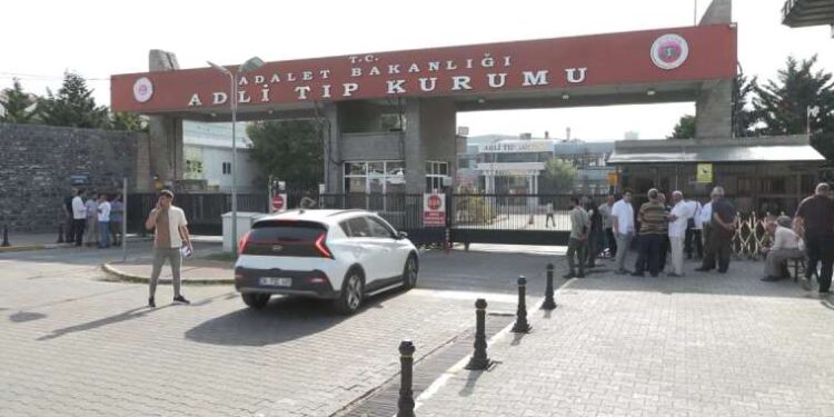 Kaçakçılık operasyonunda binlerce eşek penisi ele geçirildi