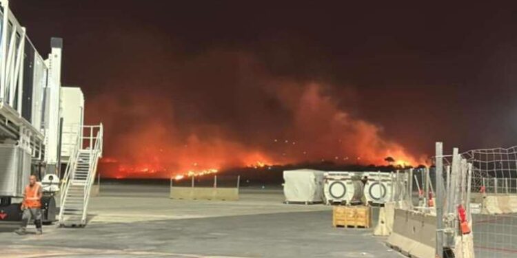 Kamyonlar, ustaların elinde rengarenk “sanat eserlerine” dönüşüyor