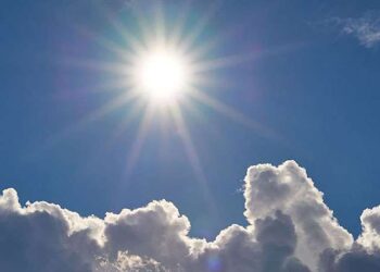 Sahte araç kiralama sitesine operasyon: 71 gözaltı