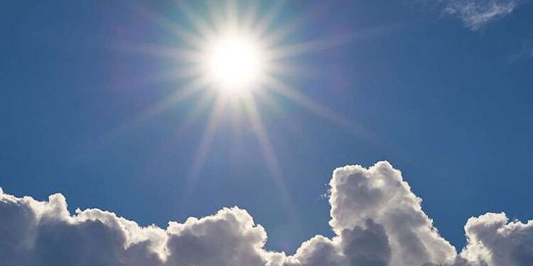 Sahte araç kiralama sitesine operasyon: 71 gözaltı