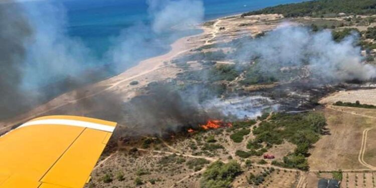 Diş fırçası ithalatında ‘korunma önleminin uzatılması için’ soruşturma açıldı