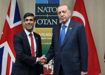 Erdoğan, İngiltere Başbakanı Sunak ile bir araya geldi