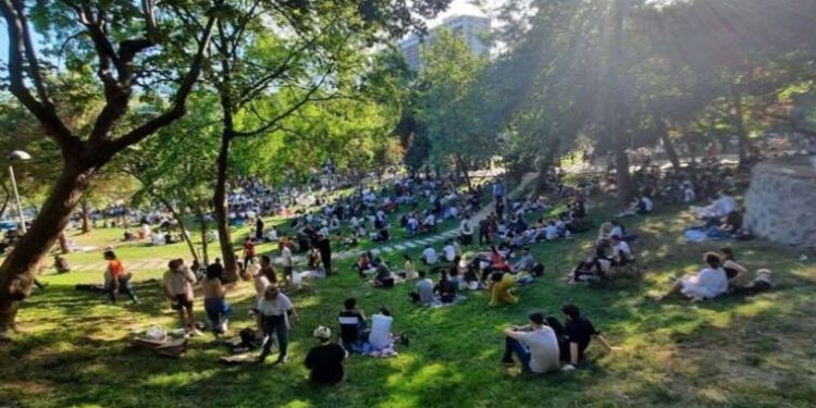 Arkadaşına yardım etmek istedi, arı sokması sonucu hayatını kaybetti
