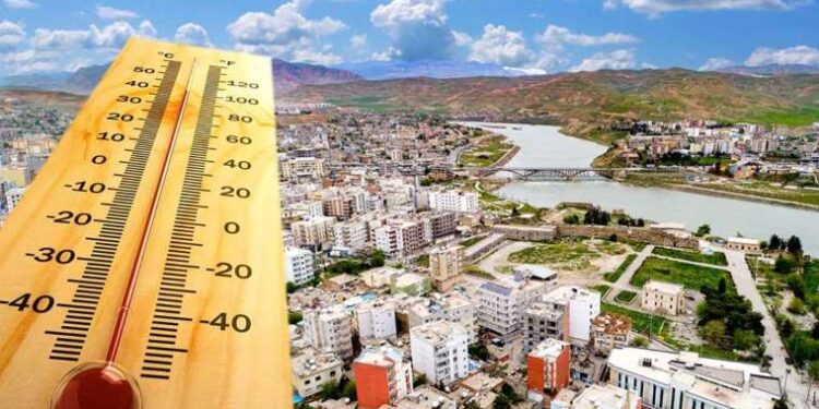 Adana’da ormana sıçrayan yangın kontrol altına alındı