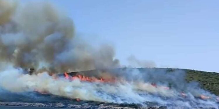 iPhone’lara gelmesi muhtemel 10 yeni emoji