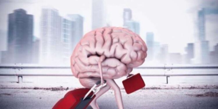 ‘Gençliklerini bu vatana adadılar’