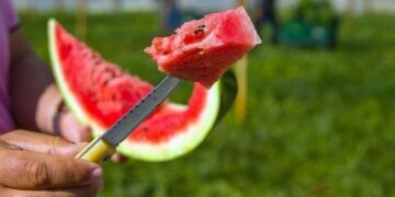 1 kişi hayatını kaybetmişti… Adana’daki silahlı kavganın 7 zanlısı tutuklandı!